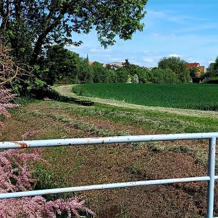 Апартаменты Am Grossen Bruch 2