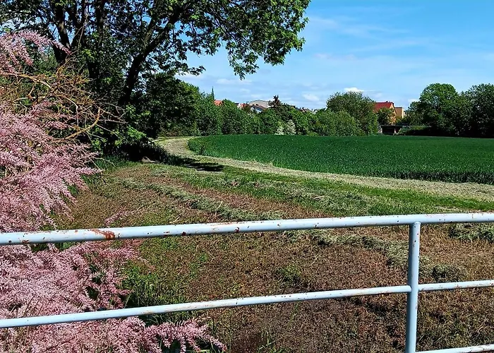 Apartman Am Grossen Bruch 2